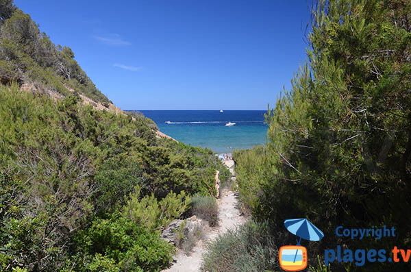Accès à la cala Aigua Blanca à Ibiza