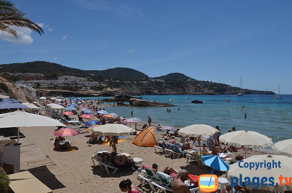Fréquentation de la plage Cala Tarida à Ibiza