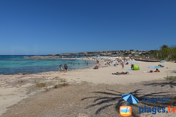 Photo de la crique d'Es Pujols à Formentera