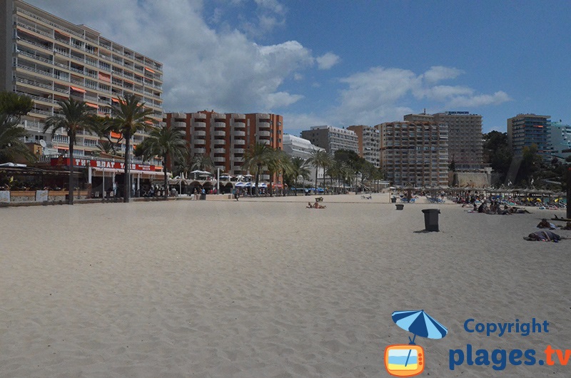 Seaside of Magaluf with its hotels