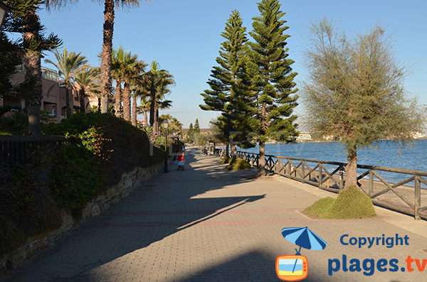 Promenade piétonne le long de la plage Arroyo Vaquero à Estepona
