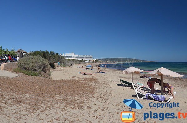 Playa Migjorn - secteur Ca Mari - Formentera