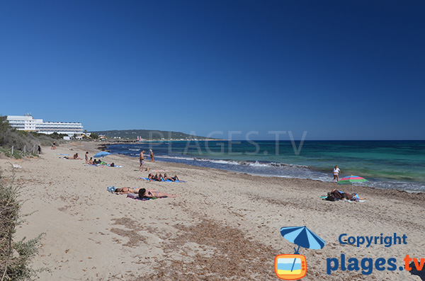 Photo de la plage de Ca Mari à Playa Migjorn - Formentera
