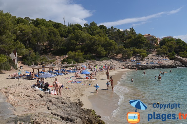 Baignade sur la plage de Cala Comtesa à Majorque