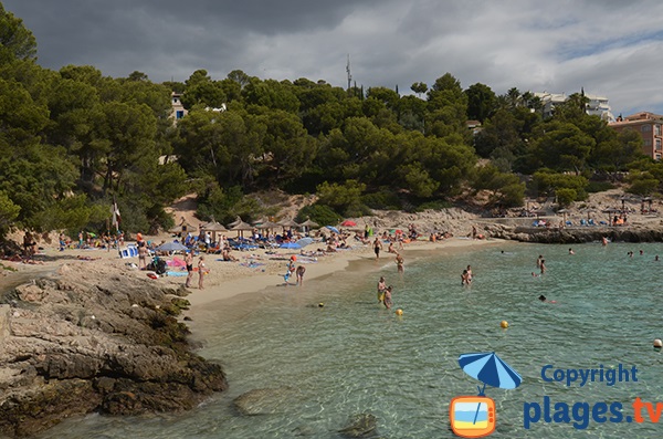 Environnement de la plage de Cala Comtesa - Majorque