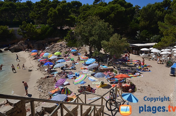 Photo de la plage de Cala Gat à Majorque