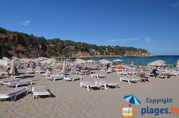 Location de matelas sur la Cala Llenya à Ibiza
