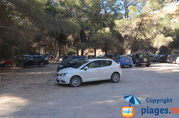 Parking de la plage dans la Cala Llenya à Ibiza