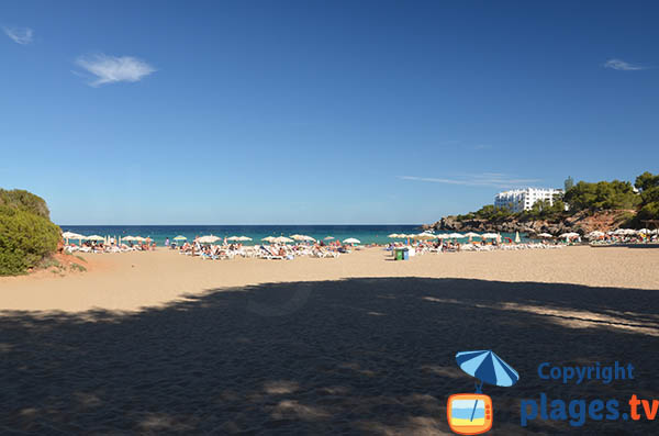 Photo de la plage dans la Cala Llenya à Ibiza