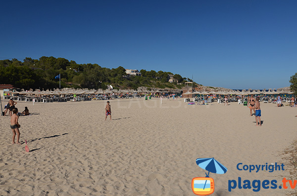 Grande plage à Portocolom à Majorque