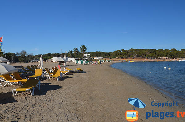 Locations de chaises longues sur la plage de la Cala Martina à Ibiza