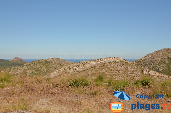 Environnement autour des plages d'Arta à Majorque
