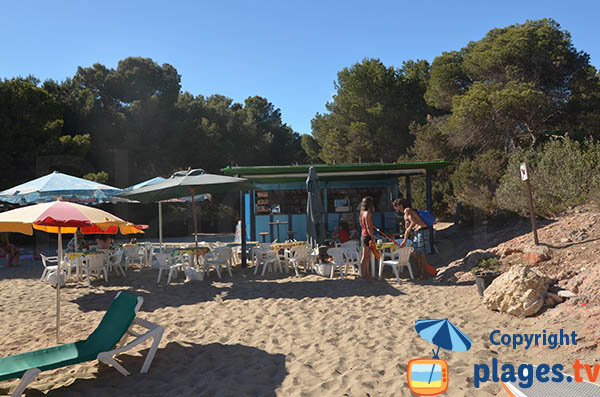 Paillote sur la plage de Cala Nova - Ibiza