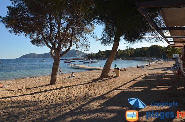 Photo de la plage de Cala Pada à Ibiza