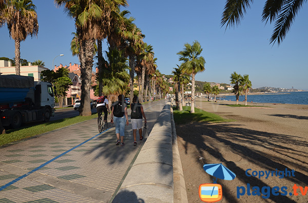Promenade le long de la plage de Caleta - Malaga