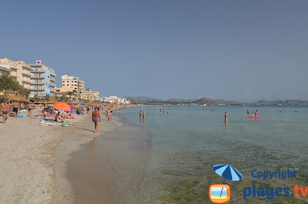 Belle plage à Can Picafort - Majorque