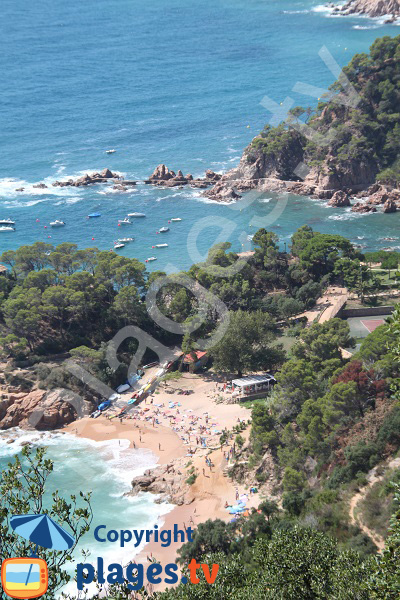 Crique au sud entre Sant Feliu de Guíxols et Tossa del Mar 