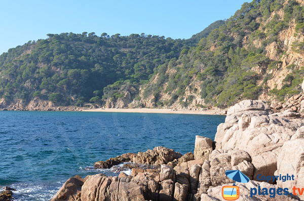 Plage naturiste à Santa Cristina d'Aro entre Sant Feliu de Guíxols et Tossa del Mar