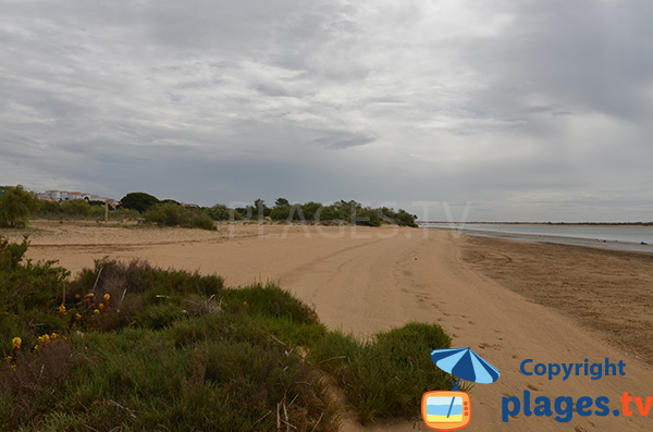 Photo de la plage de Cartaya à El Rompido - Espagne