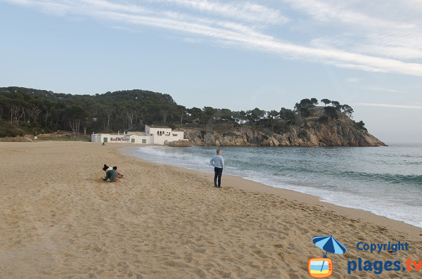 Wild beach in Palamos in Spain