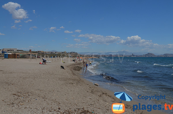Photo de la plage pour les chiens au sud d'Alicante - Urbanova