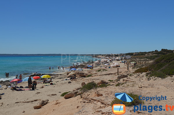 Plage de Copinyar et Arenals - Playa Migjorn - Formentera