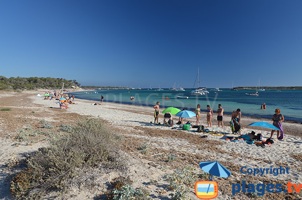 Baie de la plage Es Dofi à Majorque - Colonia de Sant Jordi
