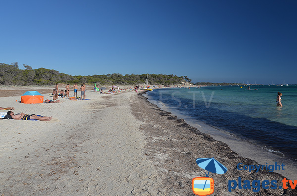 Belle plage calme à Majorque - Es Dofi