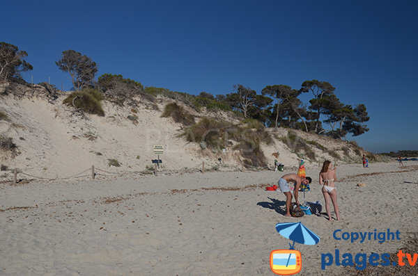Dunes sur la plage Es Dofi à Majorque - Colonia de Sant Jordi