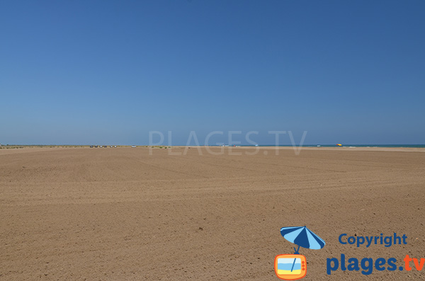 Photo de la plage d'Eucaliptus dans le delta de l'Ebre en Espagne