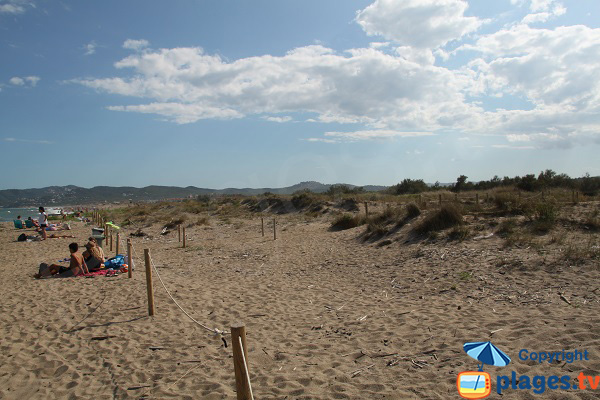 Dunes autour de la plage de Gola del Ter - Espagne