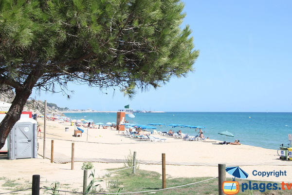 Photo de la plage de la Musclera à Arenys de Mar