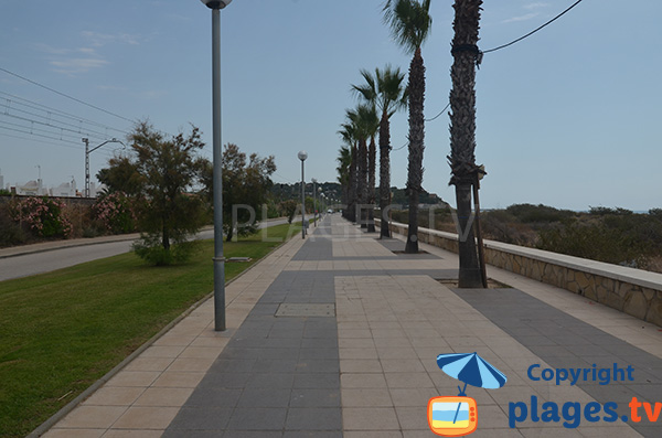 Promenade piétonne le long de la plage de Llarga de Roda de Bera - Espagne