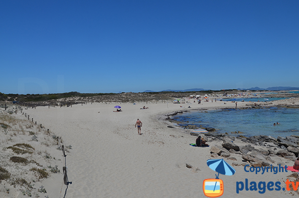 Belle plage sauvage à Es Pujols - Formentera