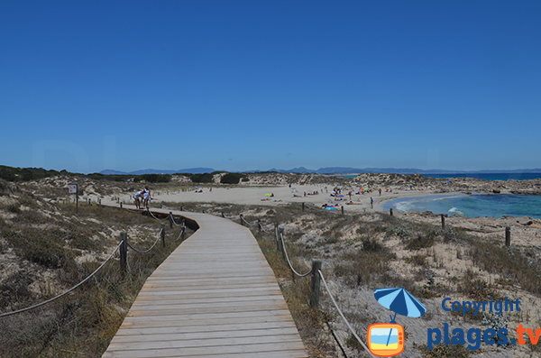 Photo de la plage du Llevant à Es Pujols - Formentera