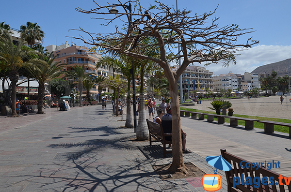 Beachfront promenade in the center of Los Cristianos