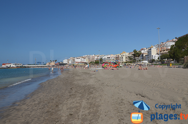 Beach of Los Cristianos in Tenerife - Canary islands