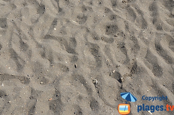 Sand beach in Malaga