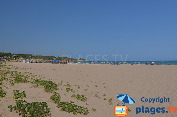 Grande plage à la sortie de Vilanova i Geltru