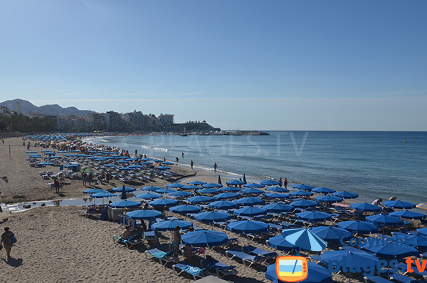 Location de chaises longues sur la plage de Poniente à Benidorm - Espagne