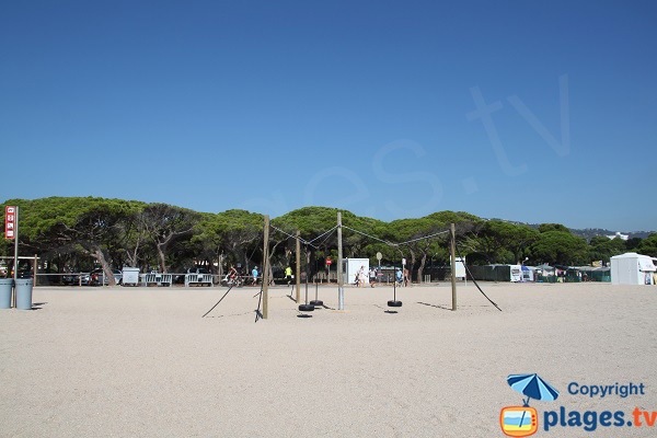 Pins au bord de la plage de Port d'Aro - Castel Platja d'Aro