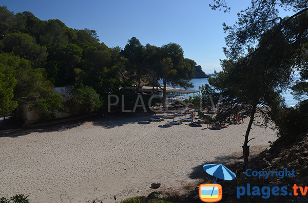 Photo de la plage de Portals Vells à Majorque