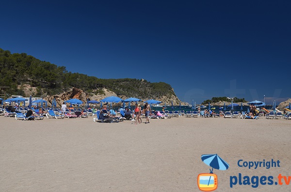 Environnement de la plage de Sant Miquel - Ibiza