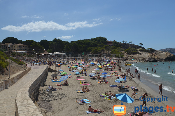 Plage et promenade piétonne de la plage Romana de Peguera - Majorque