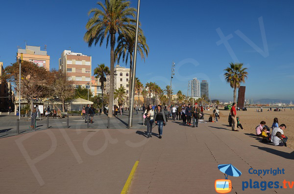 Place del Mar à côté de la plage de Sant Miquel - Barcelone