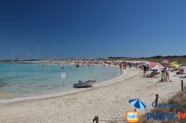 plage Ses Illetes - zone sud - Formentera