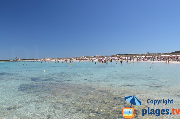 Belle plage à Formentera - Ses Illetes - partie sud