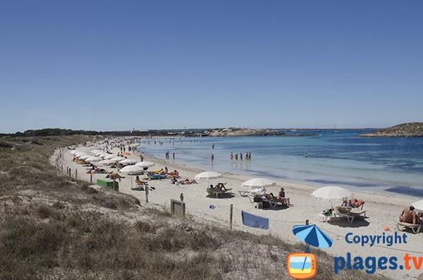 Chaises longues à louer sur la plage Ses Illetes - Formentera