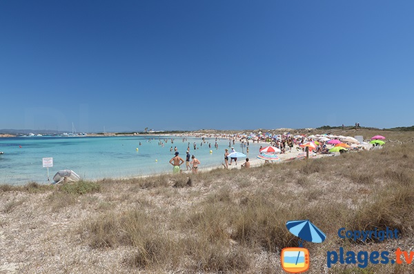 Photo de la plage Ses Illetes - zone sud - Formentera