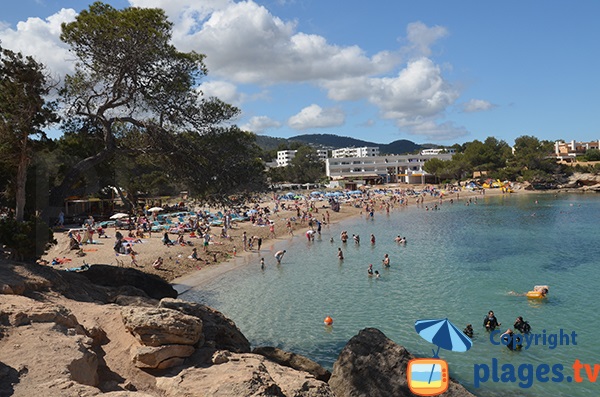 Plage du Port des Torrent à Ibiza